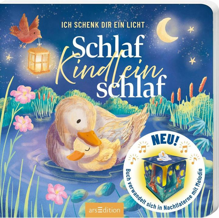 Ich schenk dir ein Licht! Schlaf, Kindlein, schlaf (German, Cornelia Boese, Julia Seal, 2026)