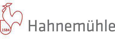 Productafbeelding Hahnemühle Schetspapier (33 cm x 50 m, Geen, Geen binding)