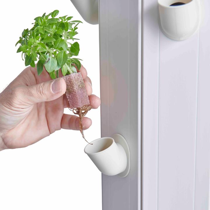 Actual product image FARMii Plus Set