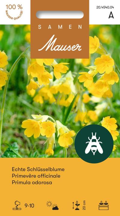 Produktbild Samen Mauser Echte Schlüsselblume (Pflanzensamen)