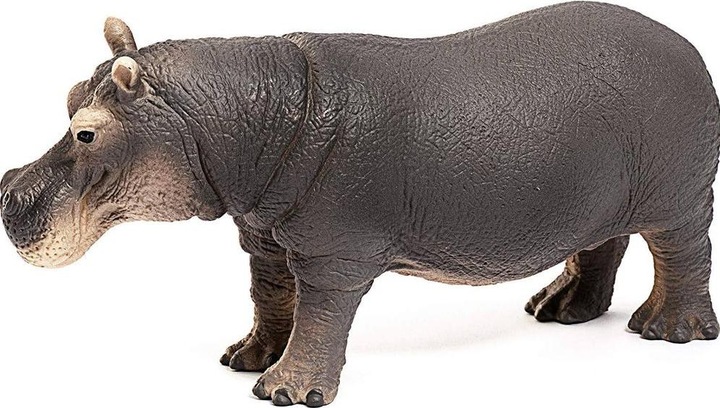 Actual product image Schleich Hippo