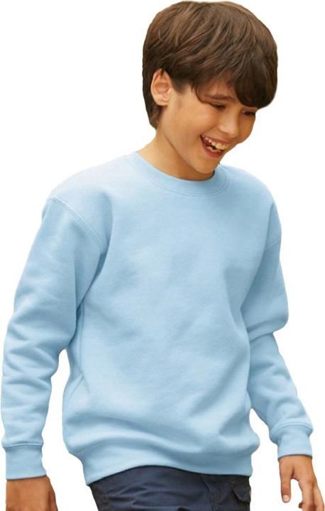 Actual product image Fruit of the Loom UTRW6860 P (164)