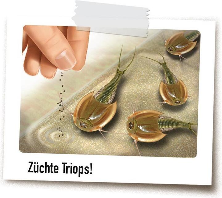 Produktbild Ravensburger ScienceX Maxi Dinosaurier & Triops