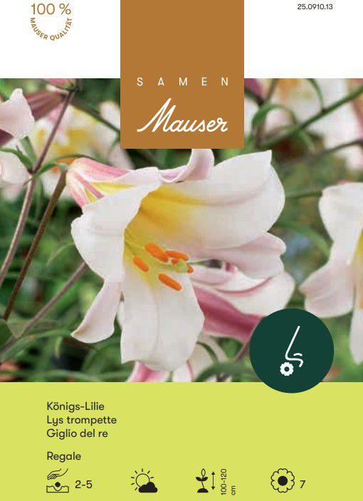 Samen Mauser Königslilie (Blumensamen)