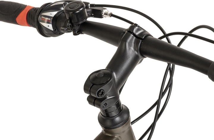 Produktbild Wyld Mountainbike Hardtail 29" Sharp Scheibenbremse platin-grau 21 Gänge (46 cm)