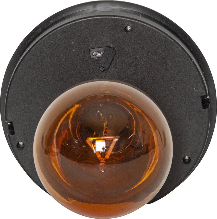 Image du produit Star Trading Marron