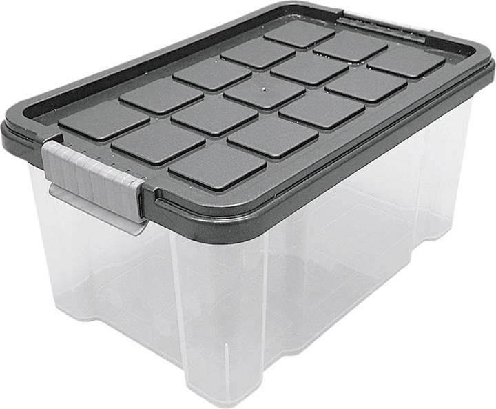 Actual product image Rival Eurobox 30x19x14cm with lid (30 cm, 5 l, 1x)