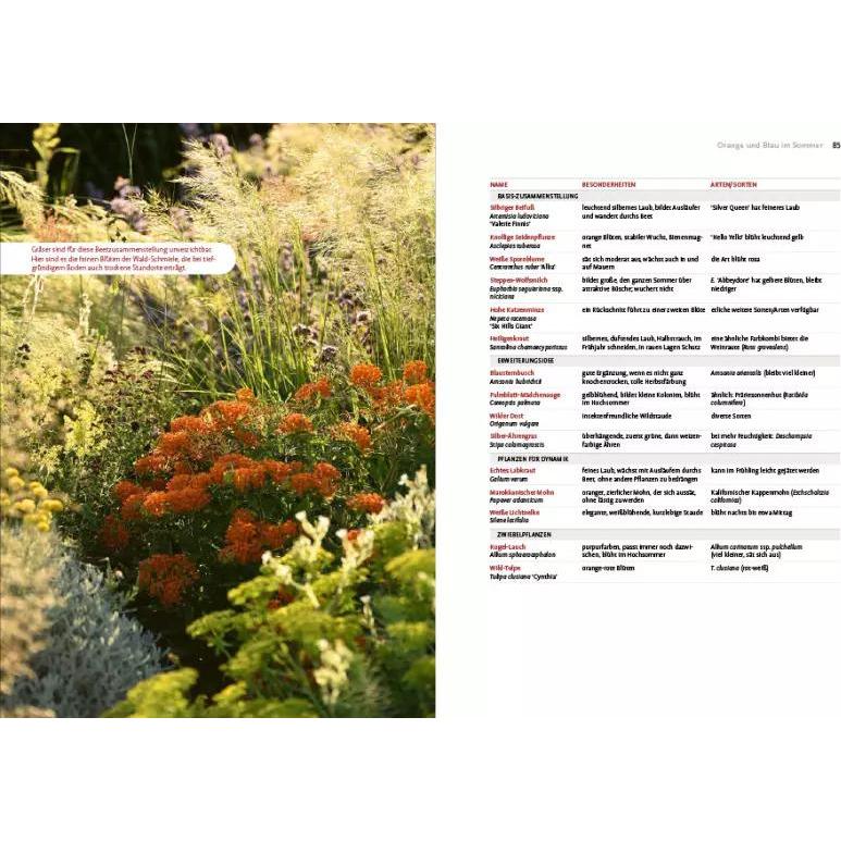 Thumbnail - Echte Hitzeprofis, Sachbücher von Katrin Lugerbauer