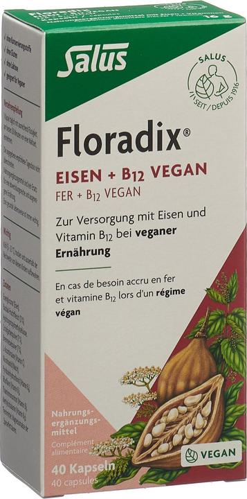Produktbild Floradix Eisen und B 12 Vegan (40 Stück, Kapseln, 37 g)