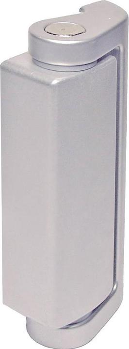 Actual product image Pizzato Elettrica HC AA Additional hinge 1 pc.