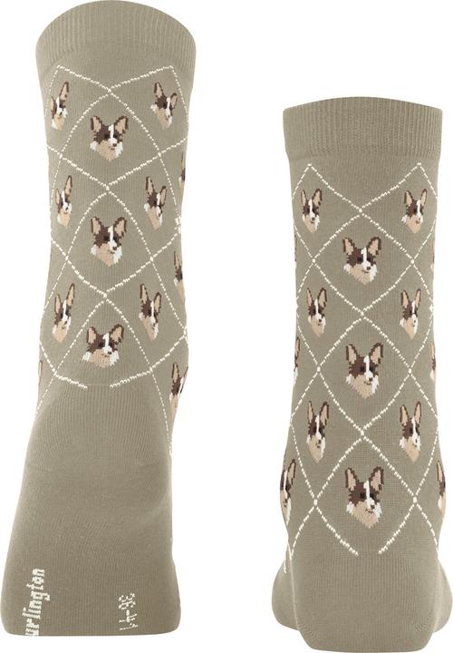 Immagine prodotto Falke Corgi SO (36 - 41)