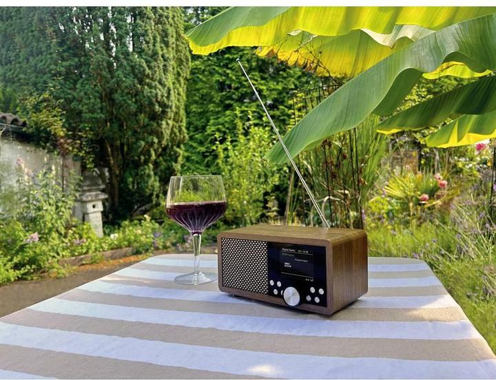 Actual product image Dynavox World receiver DAB+, FM, DAB DAB+, Bluetooth®, SD, USB Brown (DAB+, DAB, FM, Bluetooth)