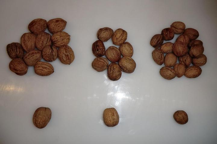 Produktbild Feucht Obsttechnik Nussknacker Knacki Junior