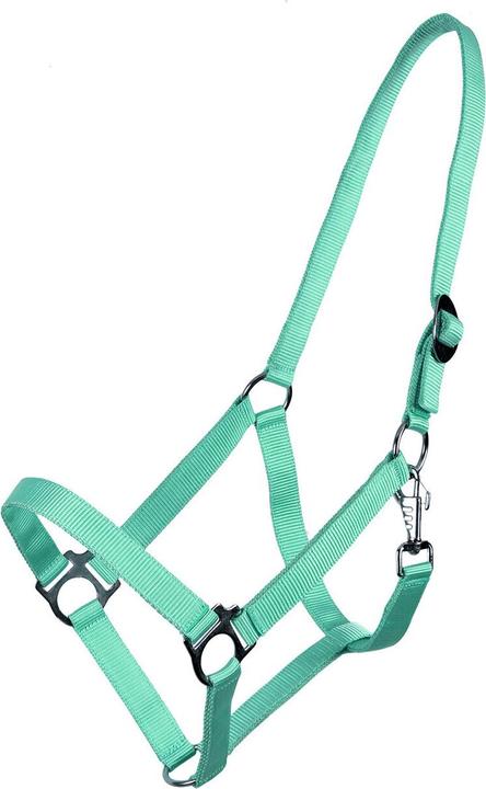 Qhp Licol en nylon avec boucle coulissante