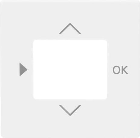 Produktbild Busch-Jaeger Zentralscheibe