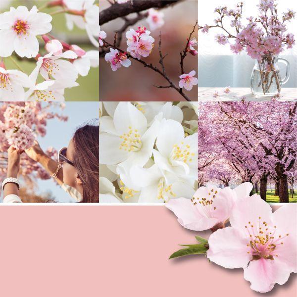 Actual product image Yankee Candle Cherry Blossom (623 g)