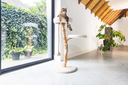 Actual product image Designed by Lotte Vilja (110 cm, Cream)