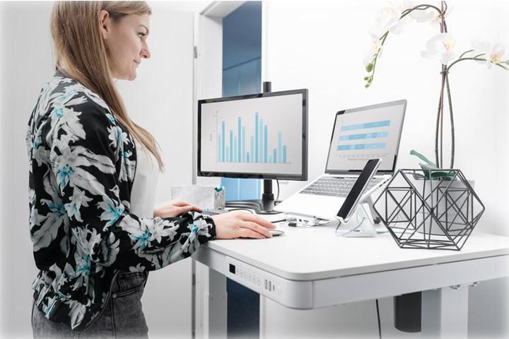 Produktbild Digitus Markus (120 x 60 x 121 cm)
