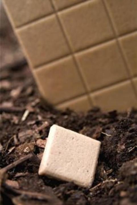 Produktbild Chicza Minze (1 Stk., 30 g)