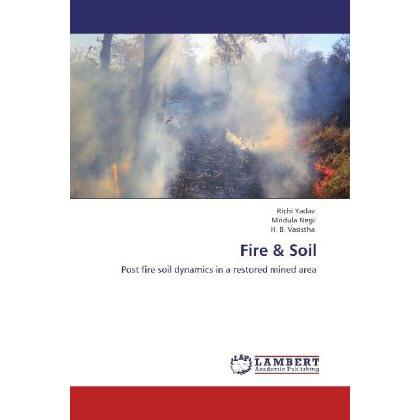 Fire & Soil, Fachbücher von H. B. Vasistha, Richi Yadav, Mridula Negi