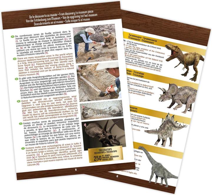 Actual product image Buki Experiment kit dinosaur skull - Tyrannosaurus