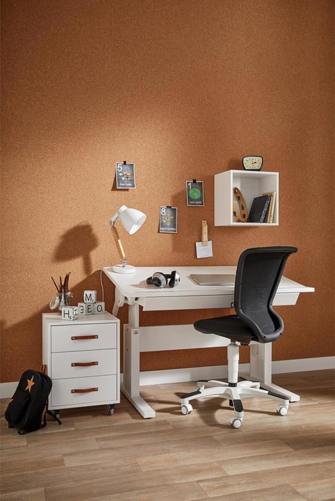 Produktbild Lifetime Kidsrooms Höhenverstellbarer Schreibtisch mit neigbare Tischplatte