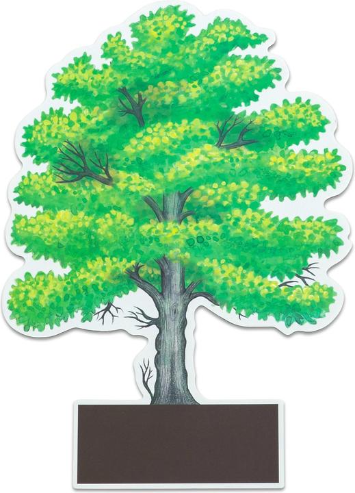 Actual product image Betzold Determine trees made easy (German, 6 - 10 years)