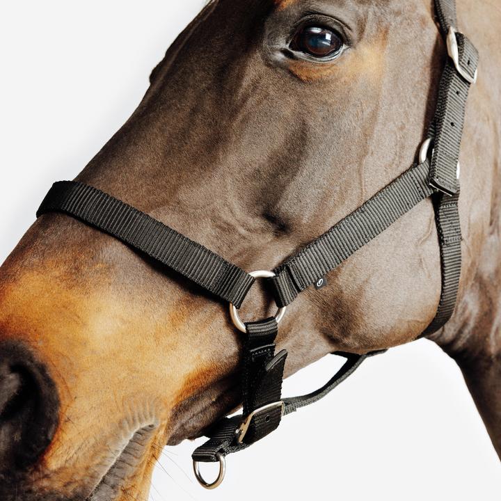 Immagine prodotto Fouganza Halfter Schooling schwarz