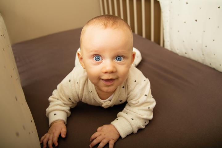 Actual product image Zewi Nestchen