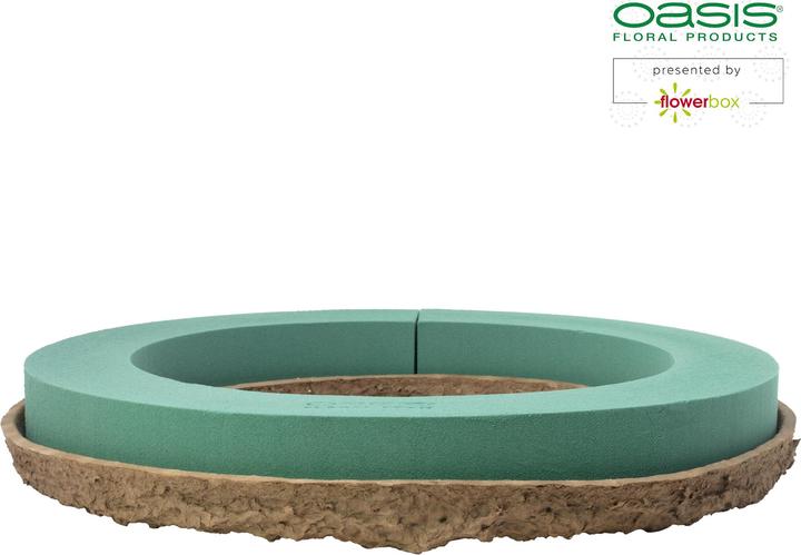 Actual product image Oasis BIOLIT Wreath
