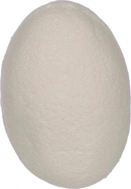 Actual product image Roost bubbling egg, dinosaur