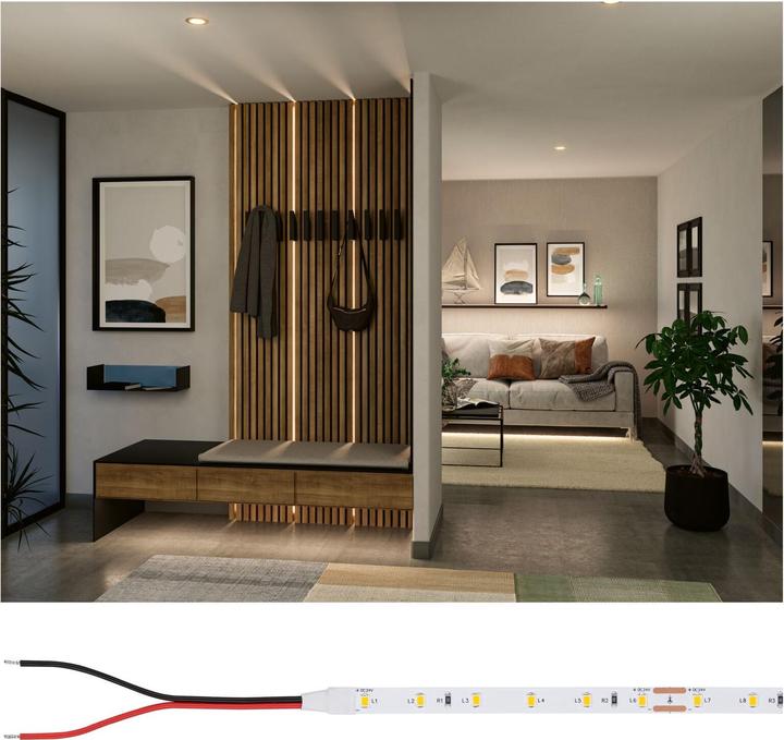 Immagine prodotto Paulmann Pro Strip Argento P25 (Bianco caldo, 500 cm, Interno)