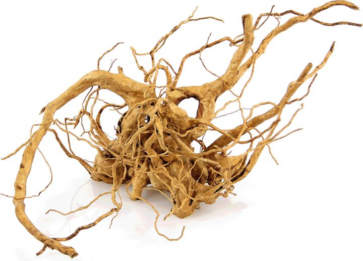 Amazonas World Finger Wurzel (Dekoration, Wurzeln)