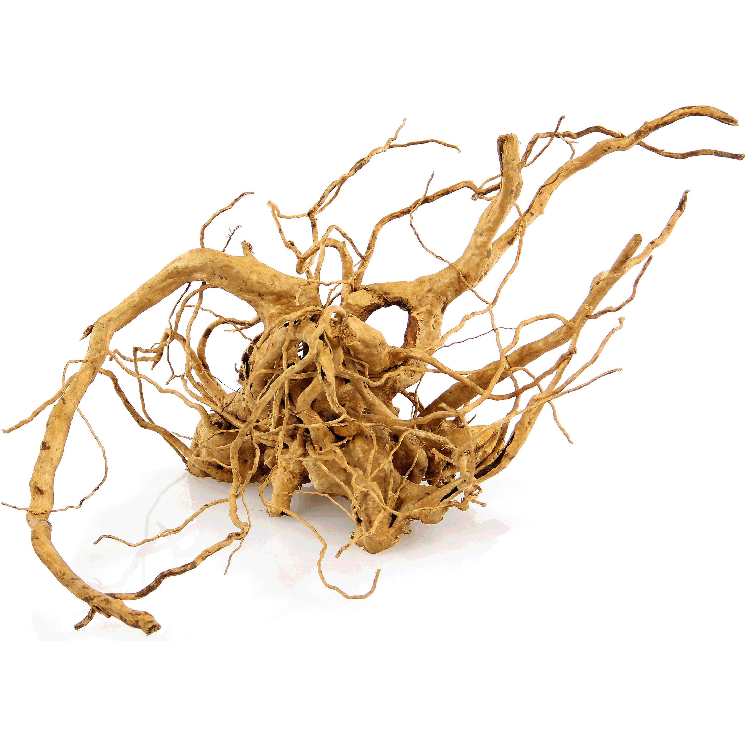 Comparer les prix de Amazonas World Racine de doigt (Décoration, Racines), Décoration d'aquarium