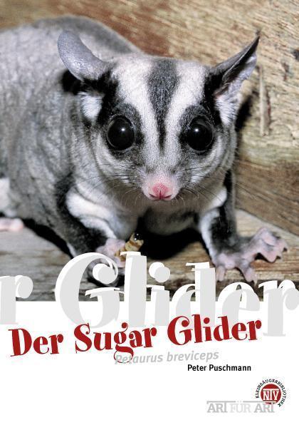 Der Sugar Glider (German, Peter Puschmann, 2008)