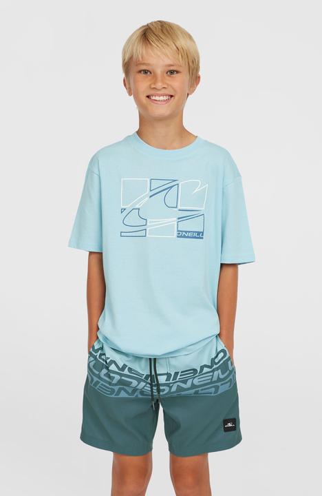 Produktbild O'Neill Cali Stripe 14" Swimshorts (164)