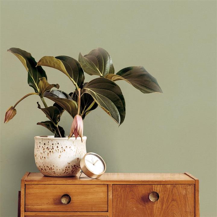 Image du produit Superfresco Easy Wallpaper 127640 amour sage (52 x 1000 cm)