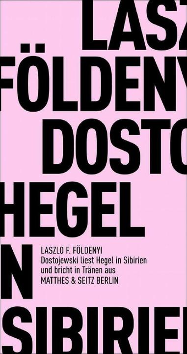 Produktbild Dostojewskj liest in Sibirien Hegel und bricht in Tränen aus (Deutsch, Hans Skirecki, László F. Földényi, 2008)