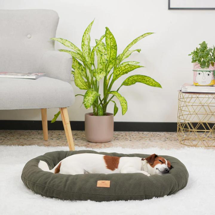 Produktbild Ferplast Relax (Hund)