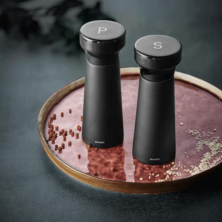 Actual product image Amefa Salière (Pepper, Salt)