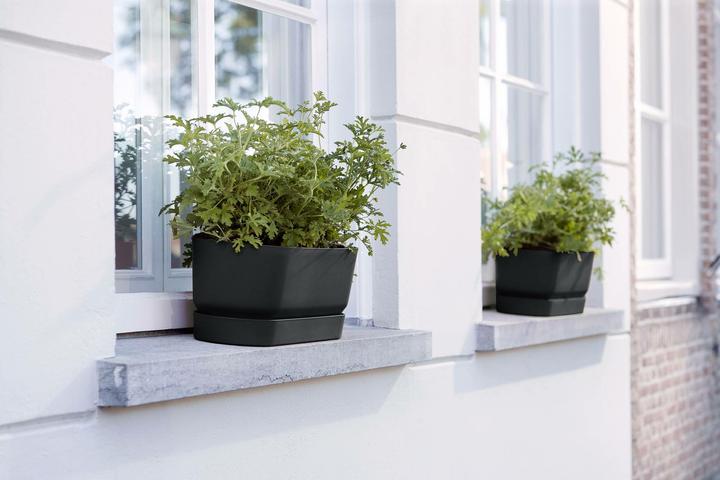 Actual product image Elho Greenville (19.50 cm)