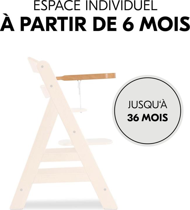 Actual product image Hauck Alpha Tray