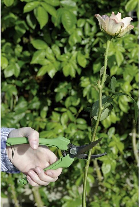 Produktbild Bahco Gartenschere Rainbow Green B6
