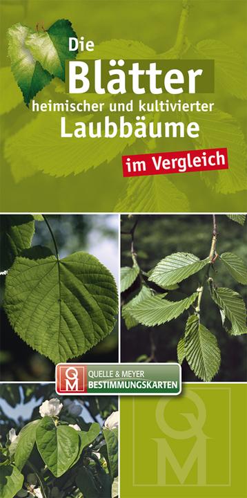 Produktbild Die Blätter heimischer und kultivierter Laubbäume im Vergleich (Deutsch, 2013)