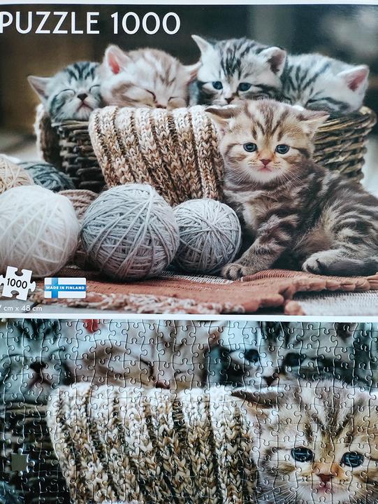 Produktbild Tactic Cute Kittens 1000 pcs (1000 Teile)