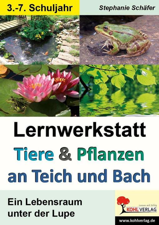 Produktbild Tiere & Pflanzen an Teich und Bach (Deutsch, Stephanie Schäfer, 2011)