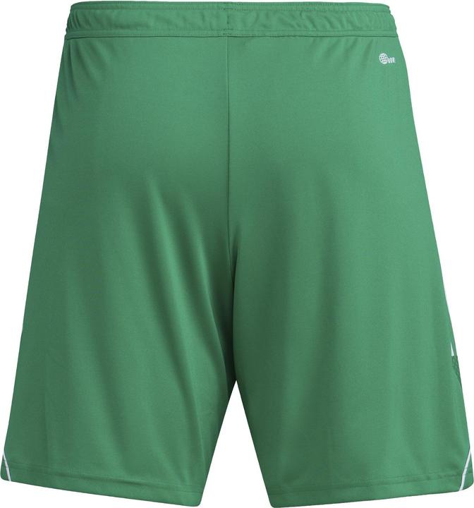 Actual product image adidas Tiro 23 training shorts men (S)