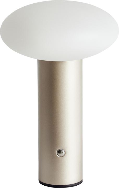 Image du produit Beliani Buayan (100 lm)