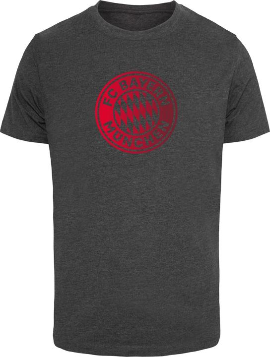 Image du produit FC Bayern München Logo GR T-shirt col rond - 115339 (XXL)