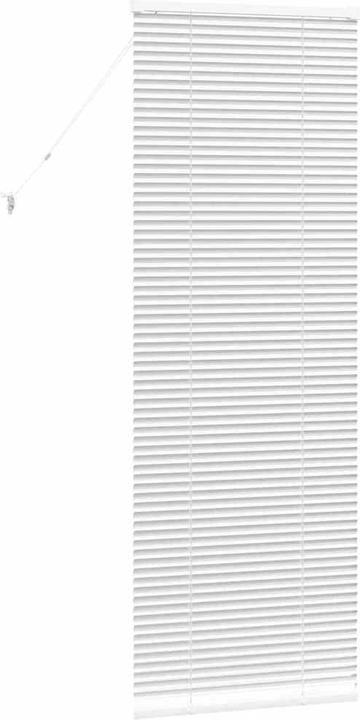 Produktbild vidaXL Balkenjalousien (55 x 175 cm)